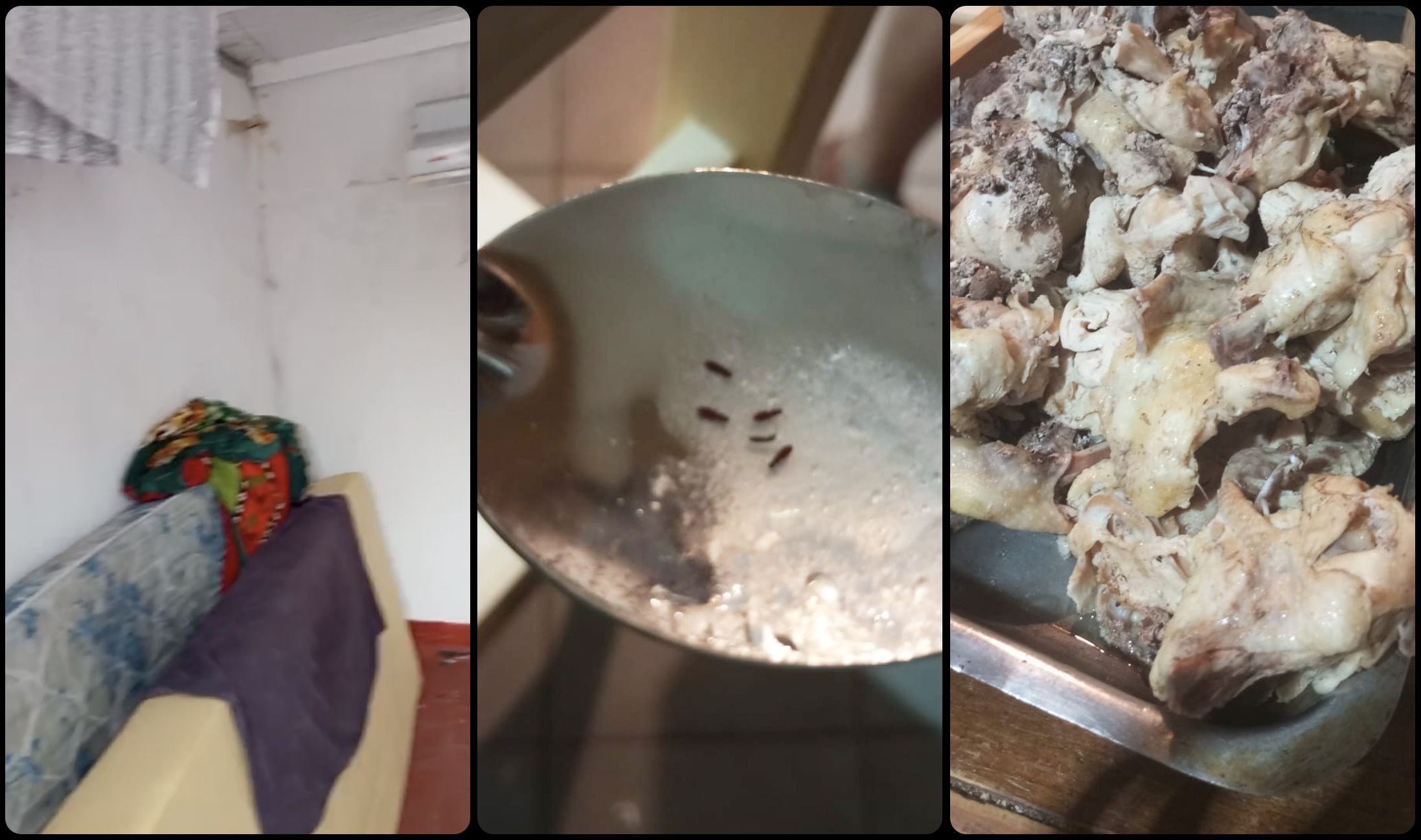 阿根廷足球梦工厂:青训体系背后的残酷现实